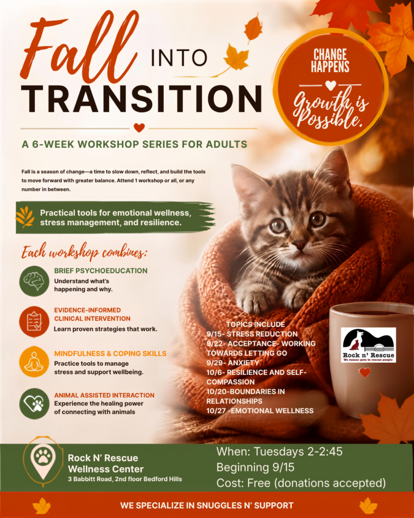 fall into transitions