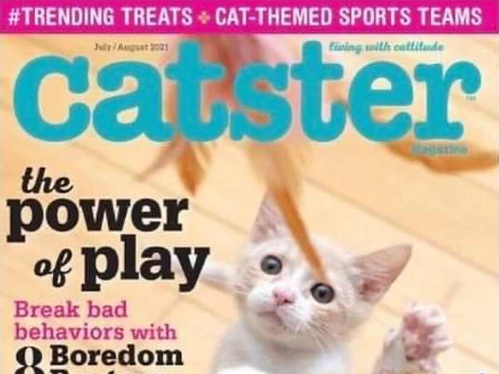 Cover of Catster Magazine