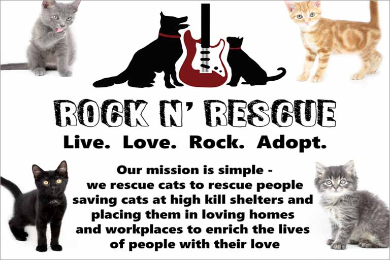 Rock N' Rescue poster