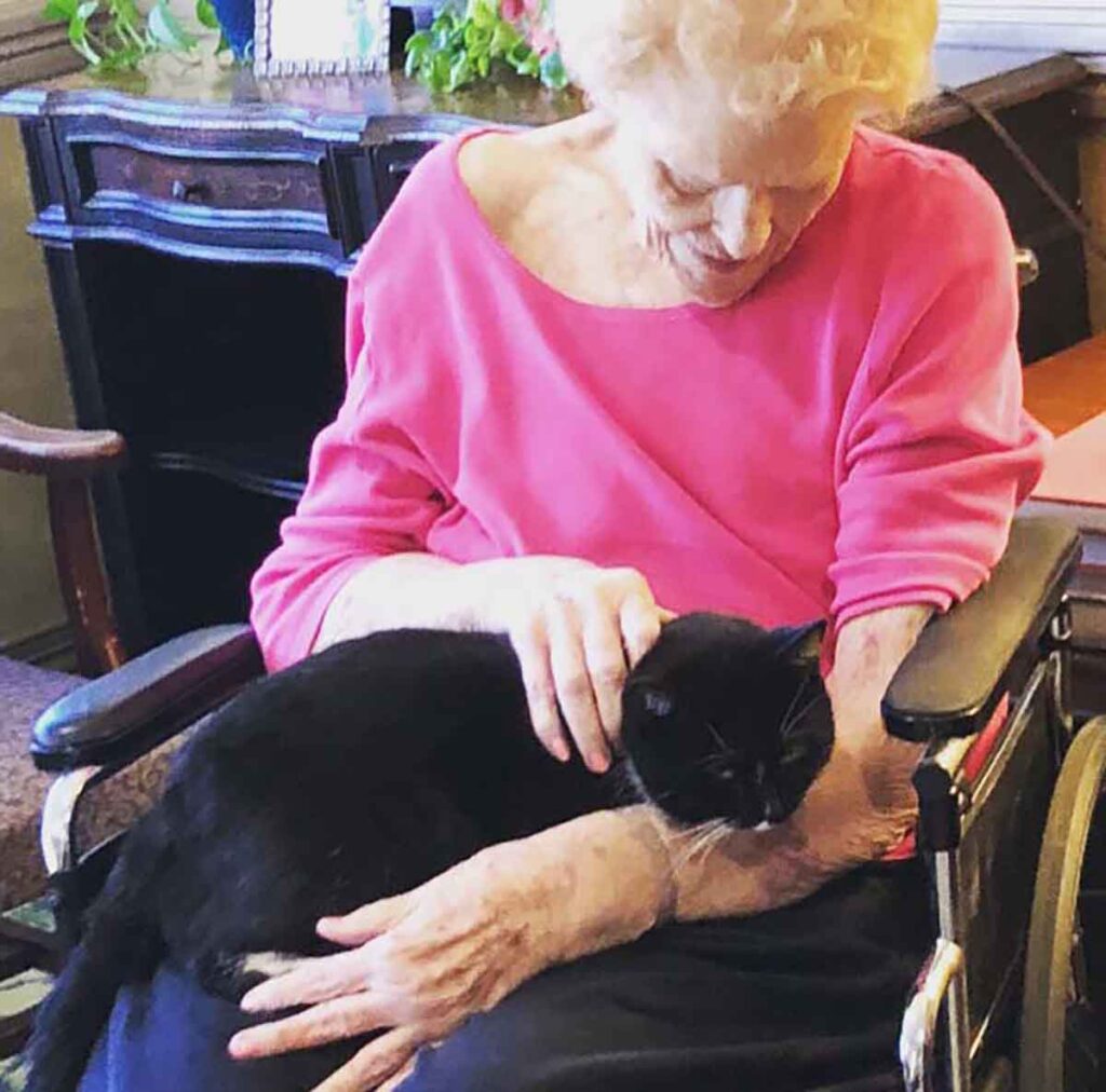 Elderly woman with cat in lap
