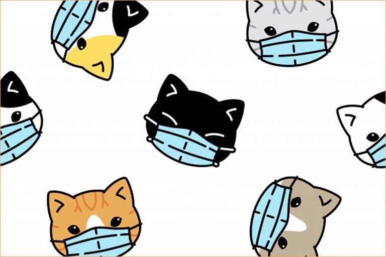 Illustrations of cats in Covid masks